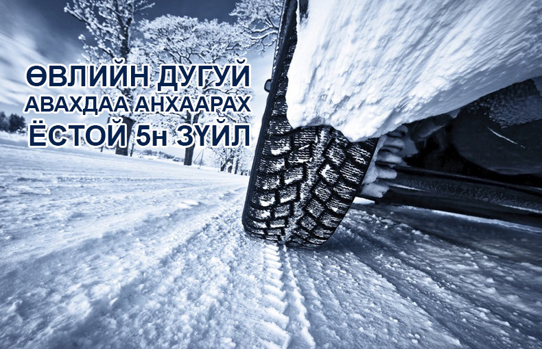 Жолооч таны мэдлэгт Акума зөвлөгөө 2