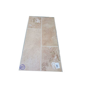 Плита 30x60 T63201B /3/