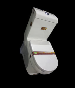 Суултуур A Bolo 875