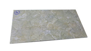 Плита 30x60 6JS601B /25/