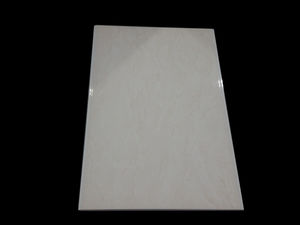 Плита 300x450㎜2W45005