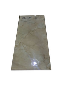 Плита 30x60 BK6808B