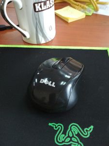 mouse