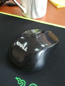 mouse
