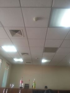 baraa p