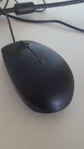 mouse
