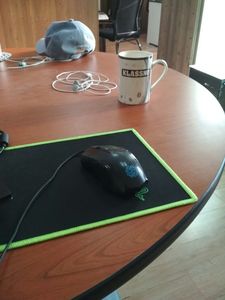 mouse