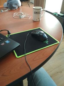 mouse