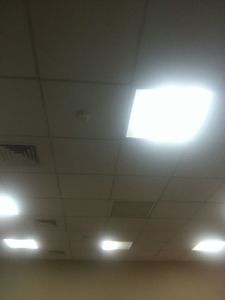baraa