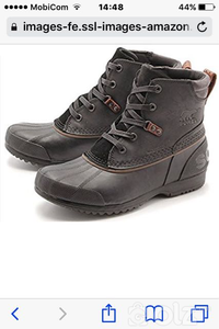 Sorel