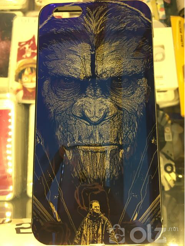 Planet of the apes case