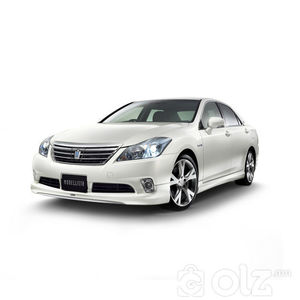 Hybrid 204 Crown