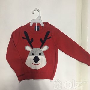 эр ноосон цамц