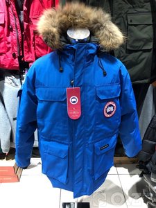 Canada Goose