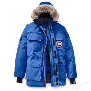 Canada Goose