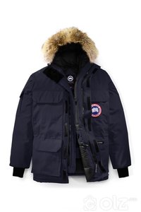 Canada Goose
