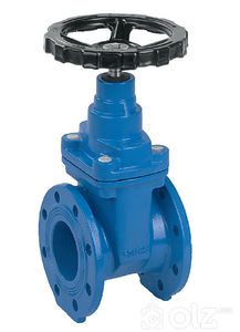 Цэвэр усны хаалт