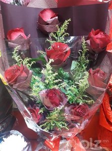 9-н сарнайн багц