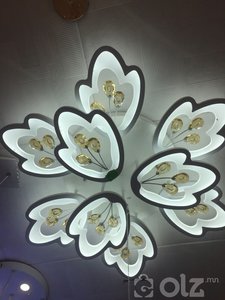 мөнгөний мод