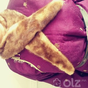 Солонгос маш цэвэрхэн булга үнэгэн зах зарна.