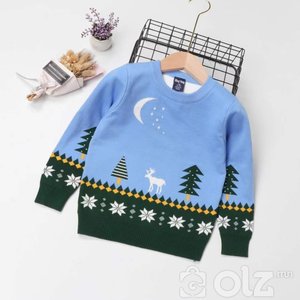 шинэ жилийн цамц