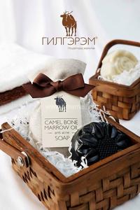 ТЭМЭЭНИЙ ЧӨМӨГТЭЙ ГОО САЙХНЫ САВАН