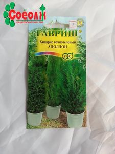 Кипарис тасалгааны модлог ургамлын үр