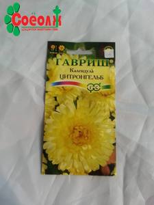 Хилэн цэцгийн үр