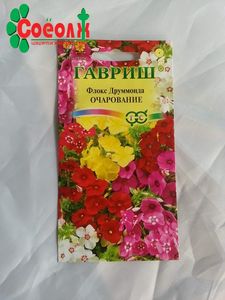 Очарование цэцгийн үр