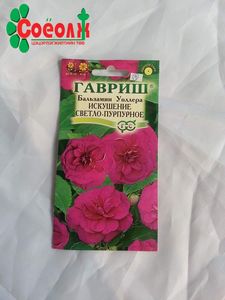 Бальзамин цэцгийн үр